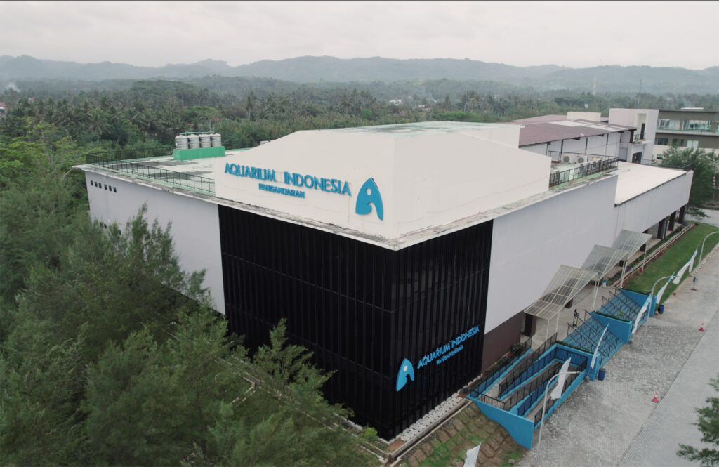 aquarium indonesia pangandaran